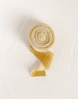 Cytisus